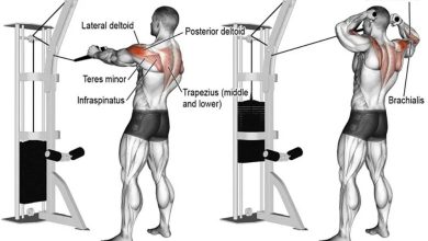 Photo of High Cable Rear Delt Fly – Bigger Shoulders