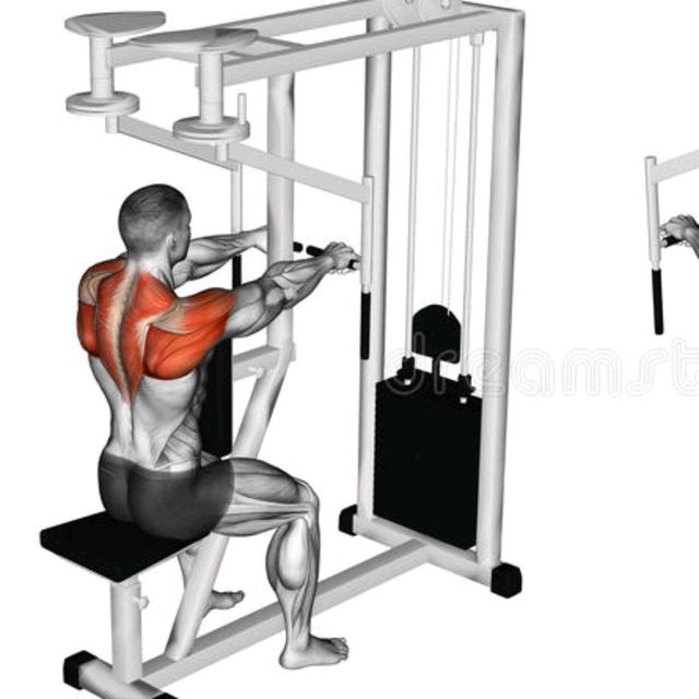 How to do the Rear Delt Fly